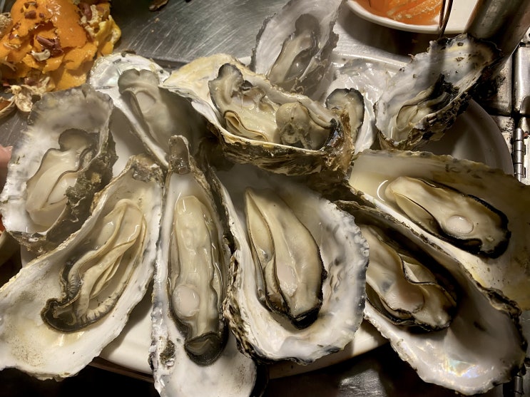  남포 포장마차거리 46번 포차_석화찜, 조개탕, 조기구이