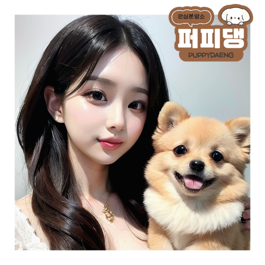  유성강아지무료분양 더 이상 속지마세요!