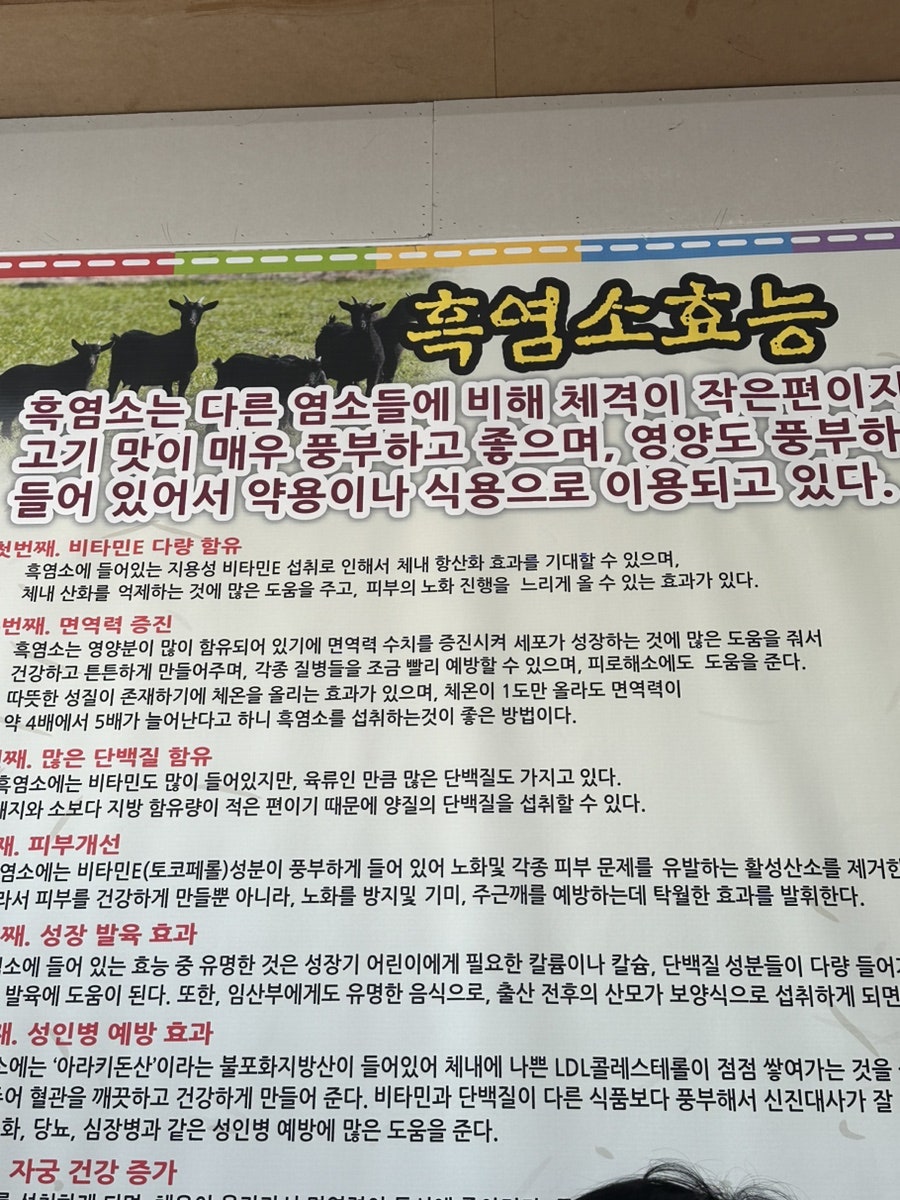 통통선지우거지 사진 5