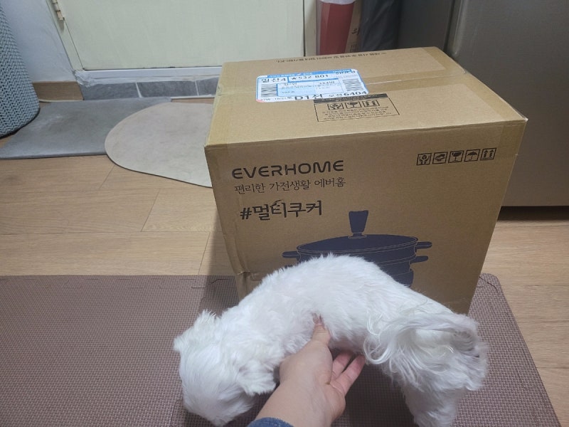 생일선물로 받았던 에버홈 오연수 찜기 멀티쿠커 전기냄비 전기 전골냄비 그릴 사용 후기 드....