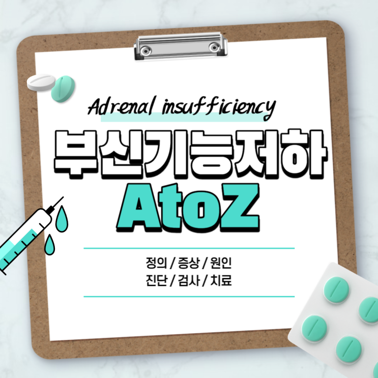  부신기능저하증 A to Z 【#증상 #치료 #검사 #음식 #부신피질호르몬 #부신피질기능저하증 #부신기능부족】