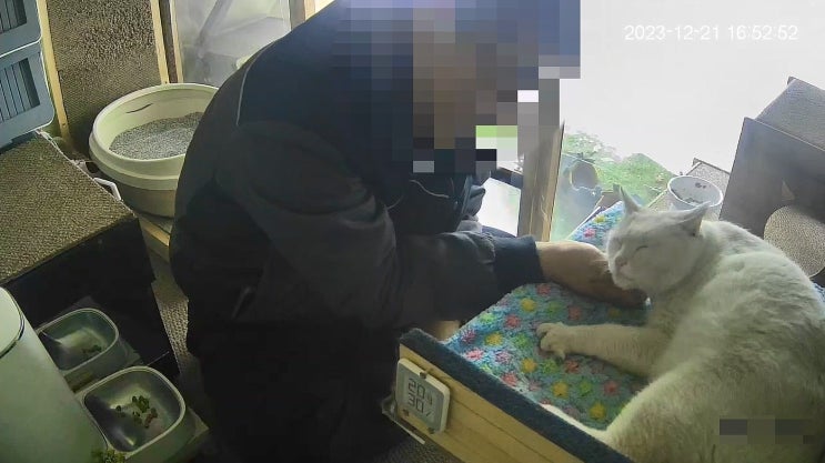  영하 10도 이하였던 지난 주.. 남편도 쉼터에서 몸을 녹였다 : 유기묘옥수