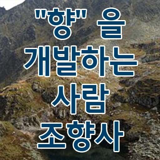  조향사 취득정보