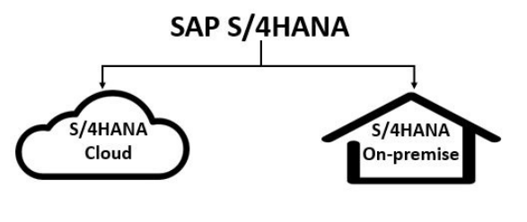  [SAP] 고도화 프로젝트 개발자 중심 고려 사항 S/4HANA On-premise, Cloud Private(Public) Edition