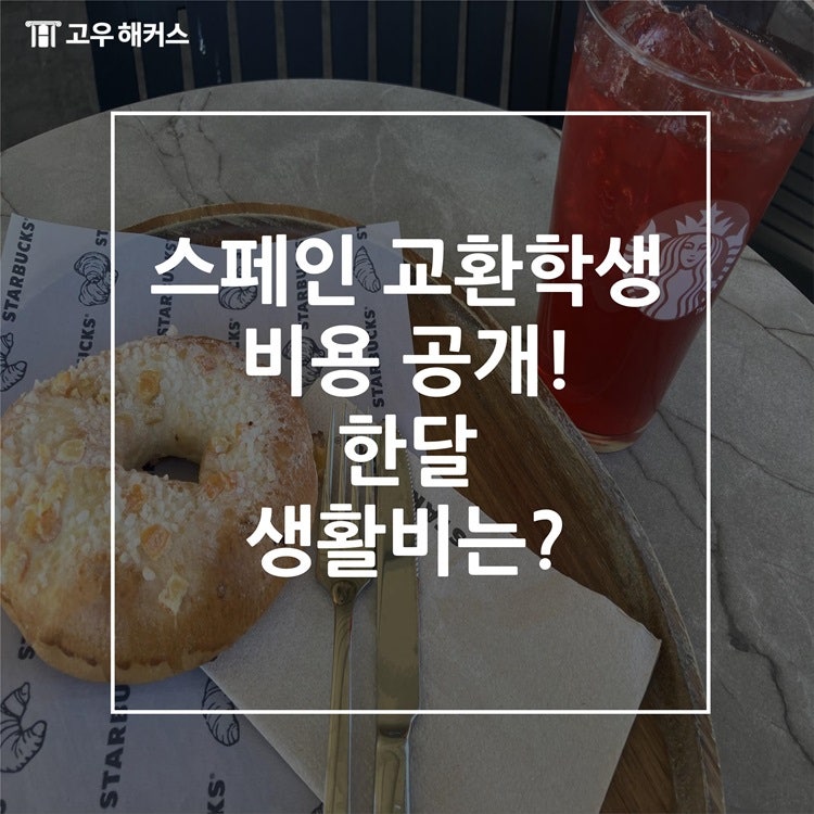 스페인 교환학생 비용 공개! 한달 생활비는?