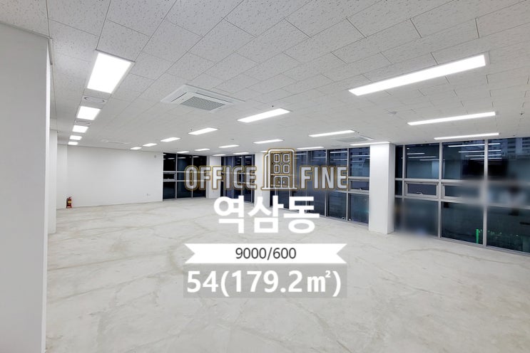  [강남구 사무실] 양재역 15분 역삼동 54(179.2) 대로변  신축 건물 사무실 [역삼동 사무실]