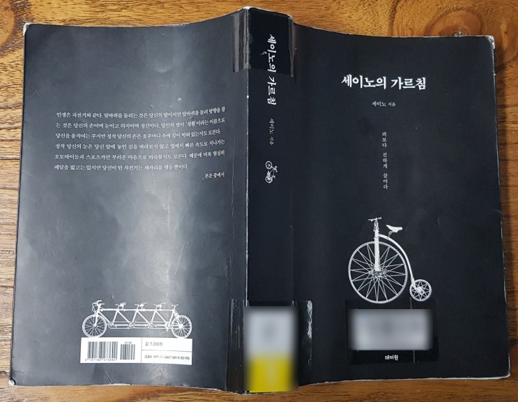  피보다 진하게 살라고 말하는 세이노의 가르침