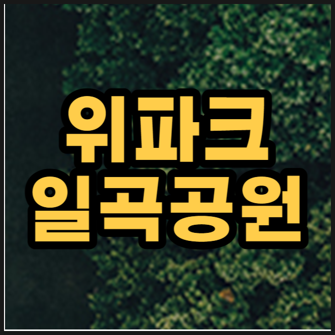  위파크 일곡공원 1월 분양소식