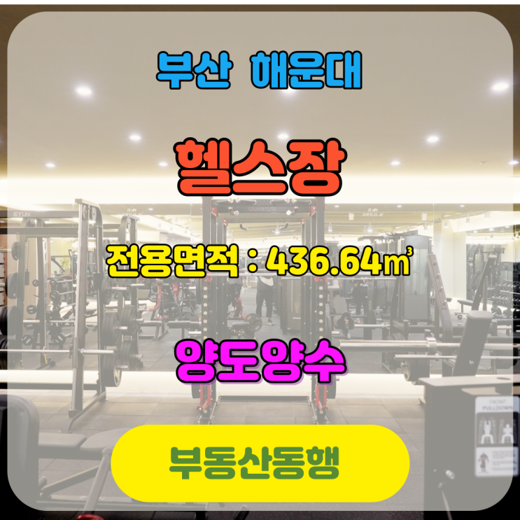 해운대 상가, 양도 양수건으로 정확한 정보 얻어가세요!