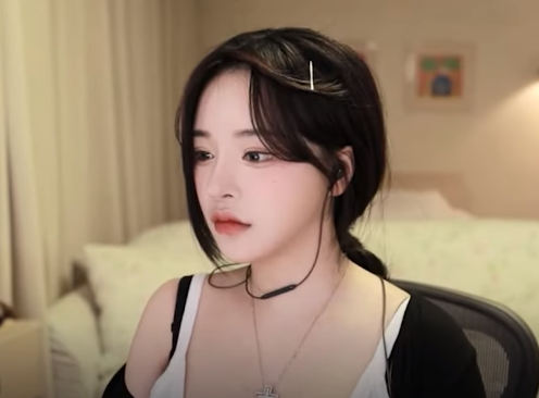 트위치 스트리머 손밍 결국 영구정지... 노브래지어 상태로 아슬아슬한 방송 트위치 스트리머 손밍 결국 영구정지... 노브래지어 상태로 아슬아슬한 방송