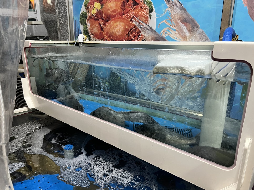 바다마을회수산 사진 4