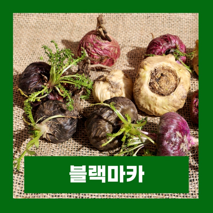  블랙마카 효능 탈모 부작용 여자 섭취