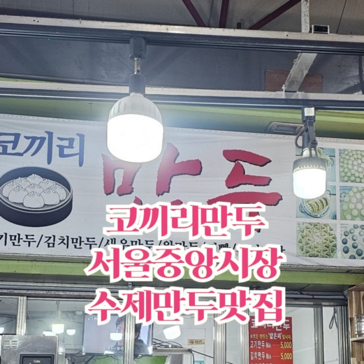 서울중앙시장 얇은피 찐만두 맛집 코끼리만두 고기만두와 김치만두 후기
