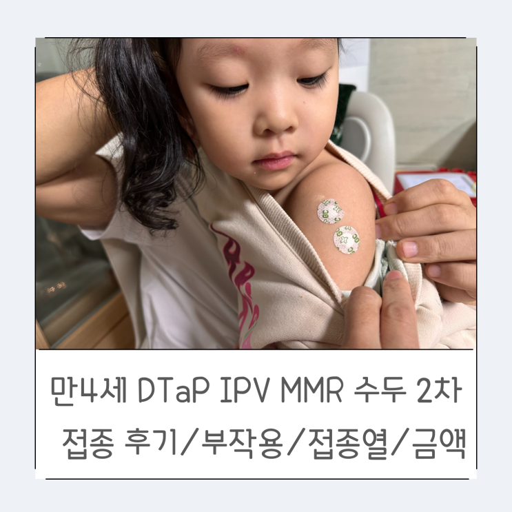 만 4세 예방접종 DTaP IPV MMR 수두 2차 접종후기/부작용/접종열 /금액
