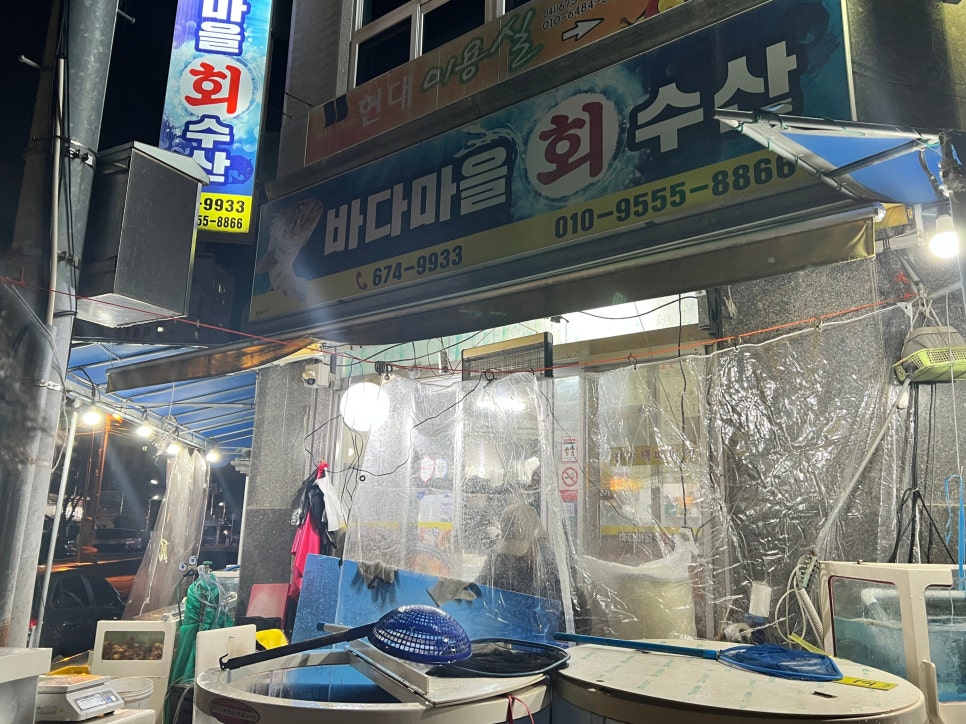 바다마을회수산 사진 3