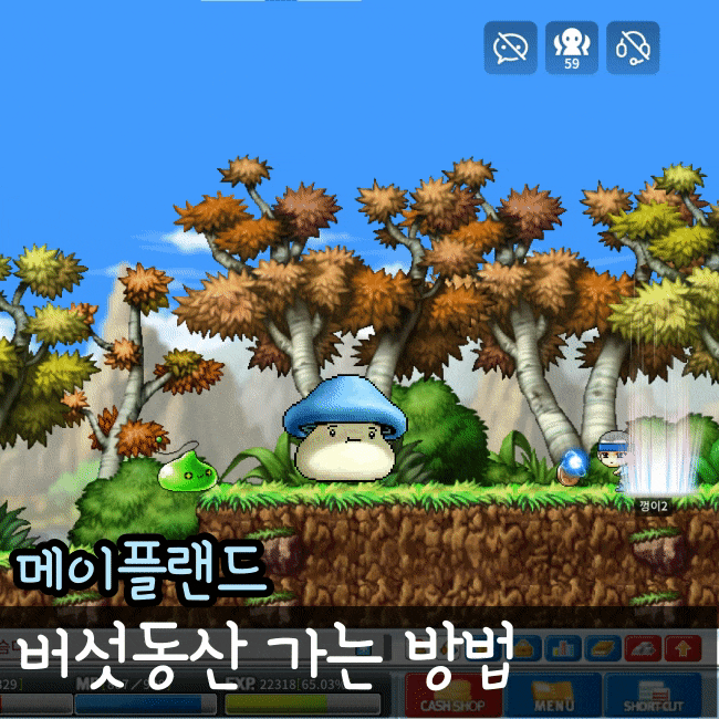  메이플랜드 파란버섯의 숲 가는 법 파란버섯 드랍템 정리 아르테일 포함