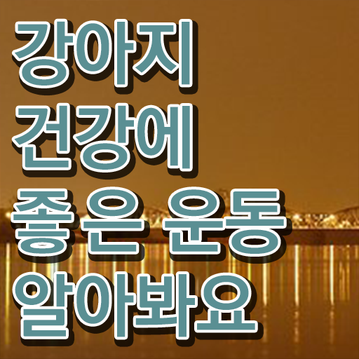  반려견운동지도사 1급 자격증 취업 알려드립니다 !