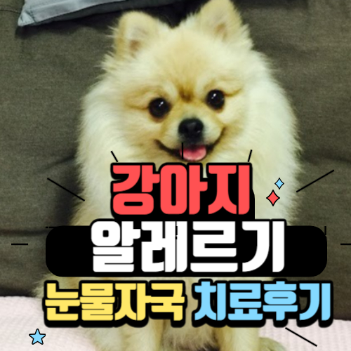  강아지 알레르기 증상, 알러지 사료(눈물 자국 아토피 사료)