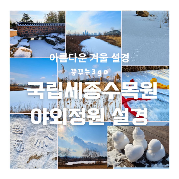  국립세종수목원 야외정원 아름다운 설경 #겨울