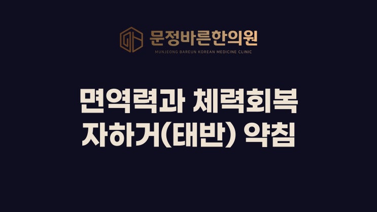 문정바른한의원 면역력과 체력회복- 자하거(태반)약침으로 문정바른한의원 면역력과 체력회복- 자하거(태반)약침으로