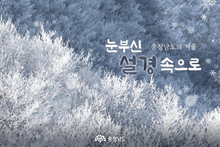 충남 가볼만한곳 충청남도의 겨울 눈부신 설경 속으로 | 충남도청페이스북