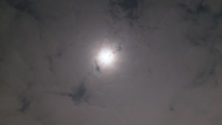  저녁밥, 산책, 카페, 아침밥