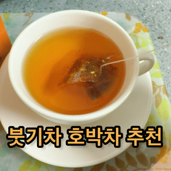  호박차 추천! 붓기차로 좋은 스위치온 오붓티
