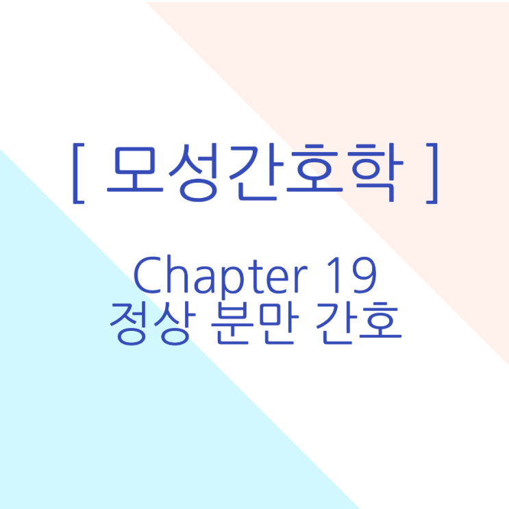  [모성간호학/국시대비] 정상분만간호 요약정리 pdf 무료공유