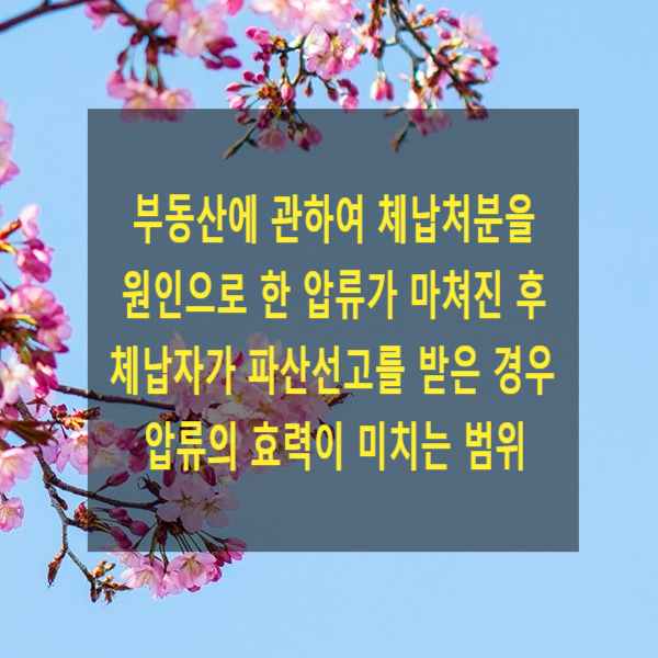  부동산에 관하여 체납처분을 원인으로 한 압류가 마쳐진 후 체납자가 파산선고를 받은 경우 구 국세징수법 제47조 제2항에 따른 압류의 효력이 미치는 범위