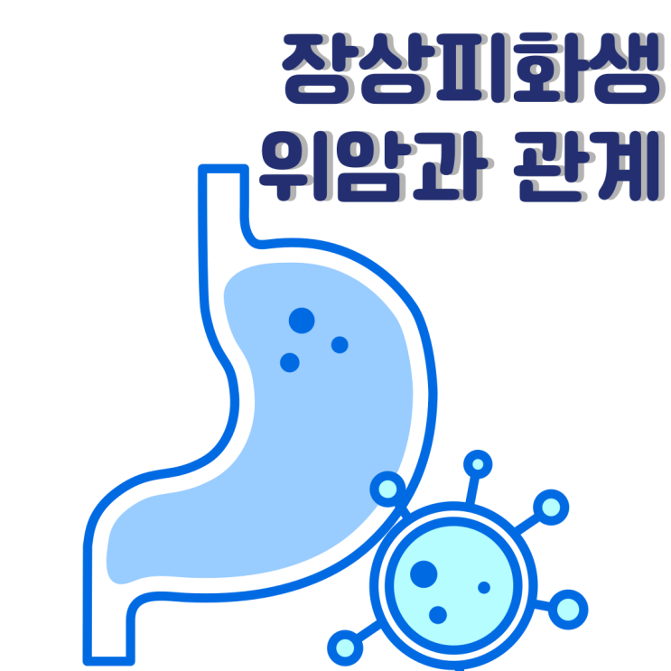  장상피화생과 위암의 관계 알아보기