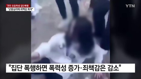 천안 초등학교 집단폭행 결과 보고 가해 학생 부모 족발집 국밥집 어디 보배드림