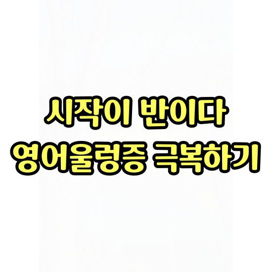  광적 초보 주부 영어회화 백석 일대일 성인 생활영어 해외살아보기