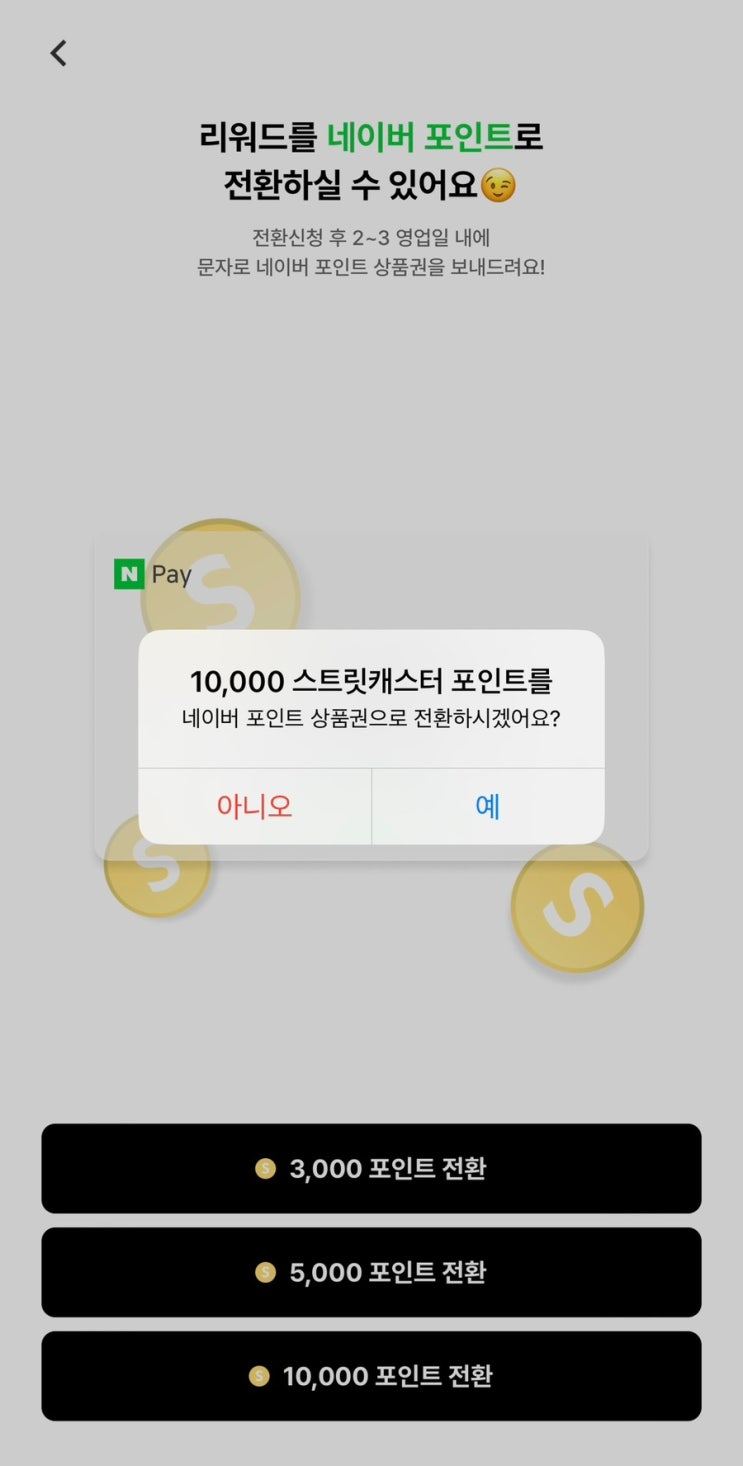  [ 핫플캐스터 1기 ] 스트릿캐스터 리워드 네이버 포인트 전환 방법 및 서포터즈 후기