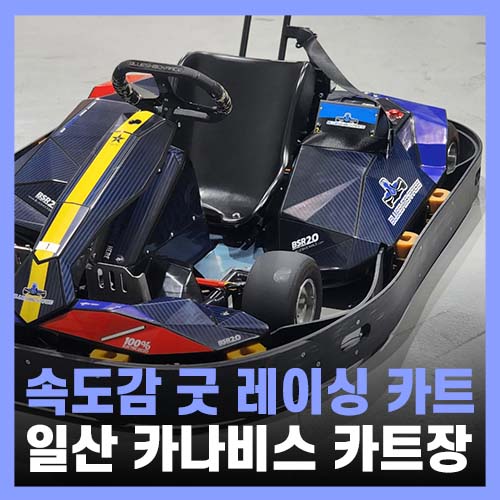  일산 놀만한곳 속도감 가득한 카나비스 레이싱 카트