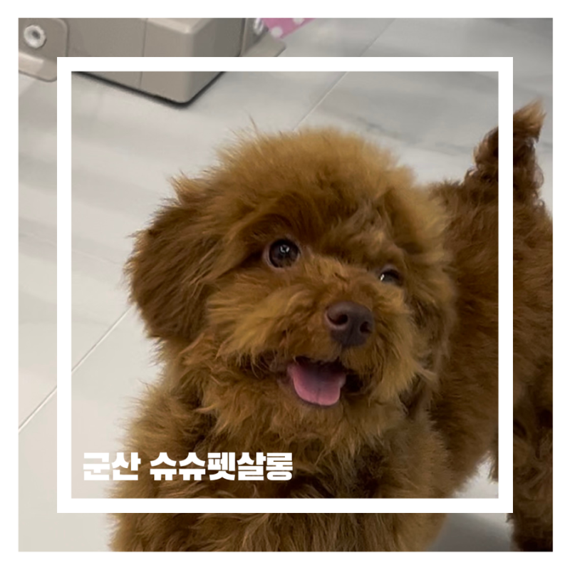 사진 3