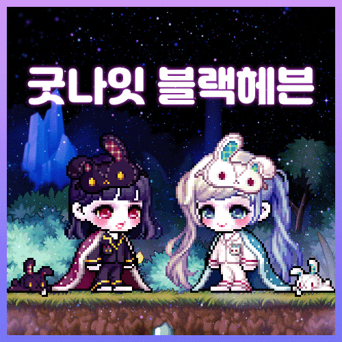  메이플 루나 뫙님 :: 굿나잇 블랙헤븐 세트 후기