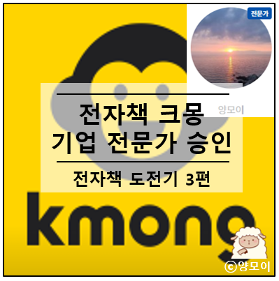  크몽 사업자등록 후 한번에 기업 전문가 승인, 사업자 필수일까? 전자책 도전기 3편