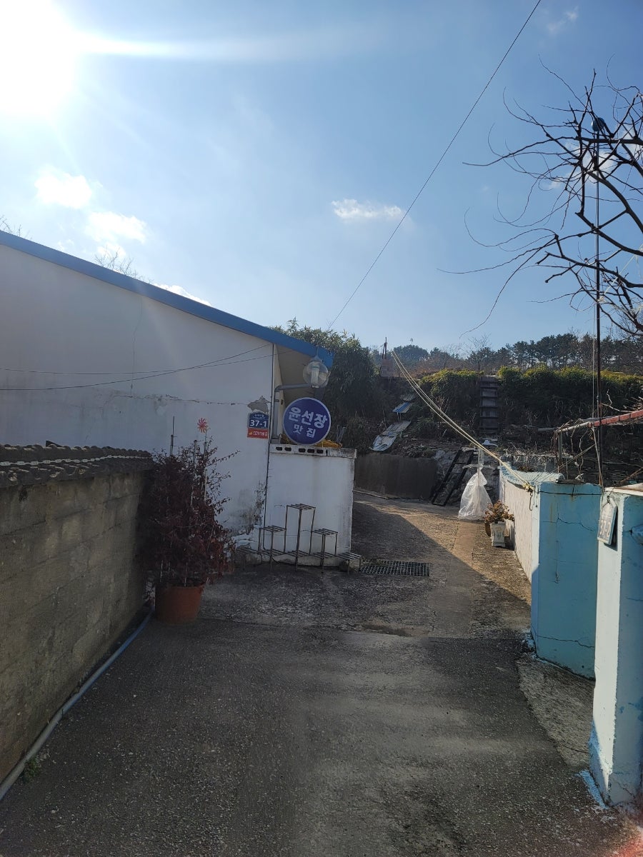 윤선장대게 사진 1
