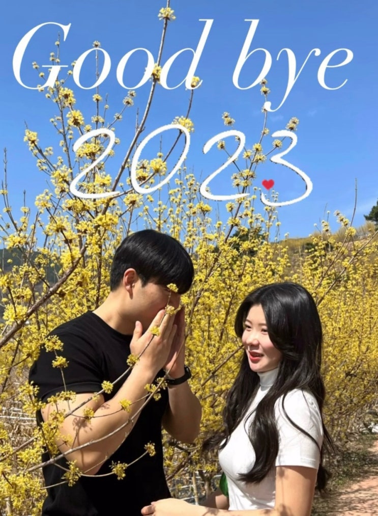  23년 12월 마지막 주️
