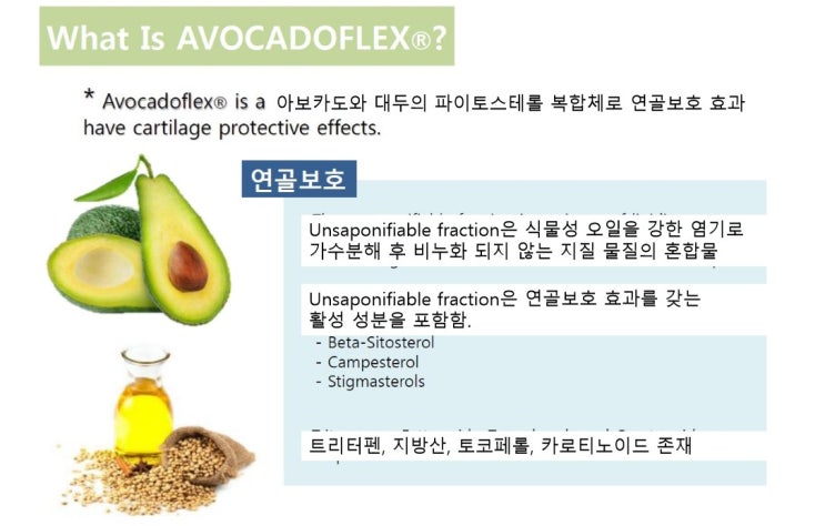  셀로맥스 스토어 작감아르테
