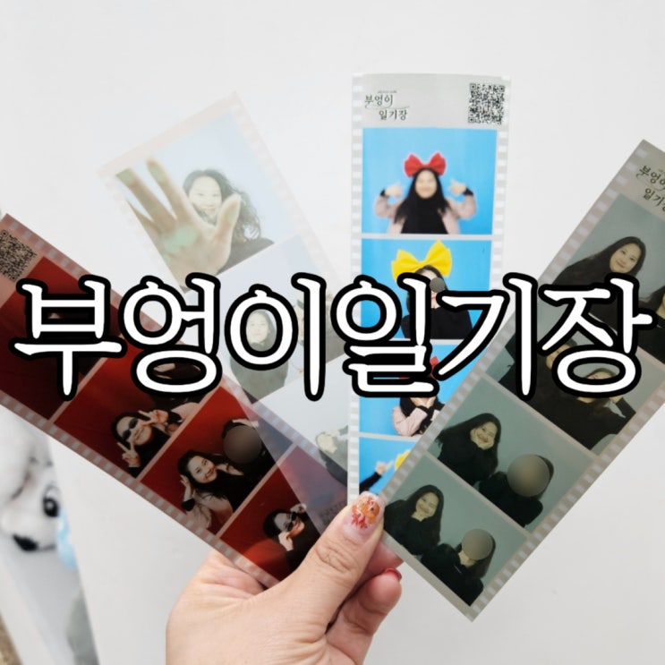  창원성산구상남동 항공샷, 로우샷있는 창원네컷사진 부엉이일기장 창원점