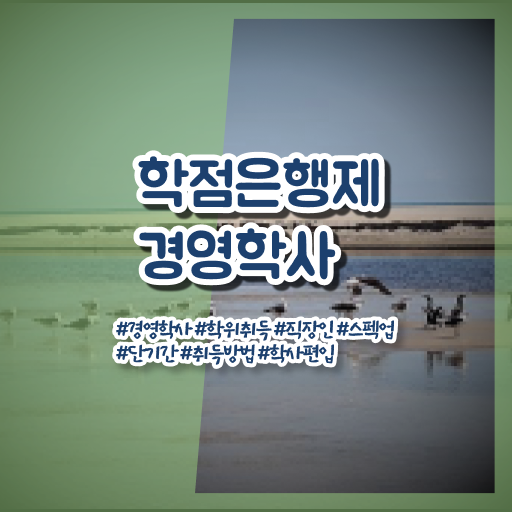  학은제 경영학사 학위 자격증 전망
