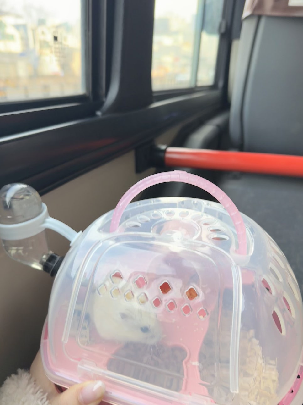 닥터남동물병원 사진 3