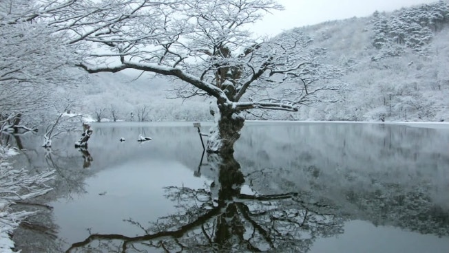 겨울 여행의 절정 ,청송 얼음골과 주산지의 몽환적인 매력