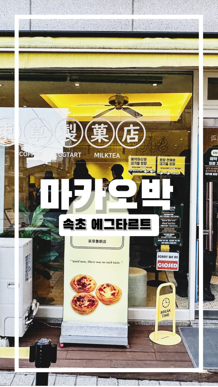  속초 가면 무조건 들려야 하는 에그타르트 성지 마카오박