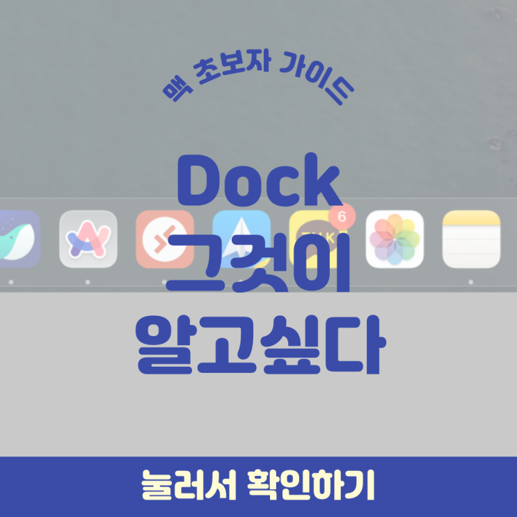  맥북 초보자 가이드 | 독(하단바) 설정