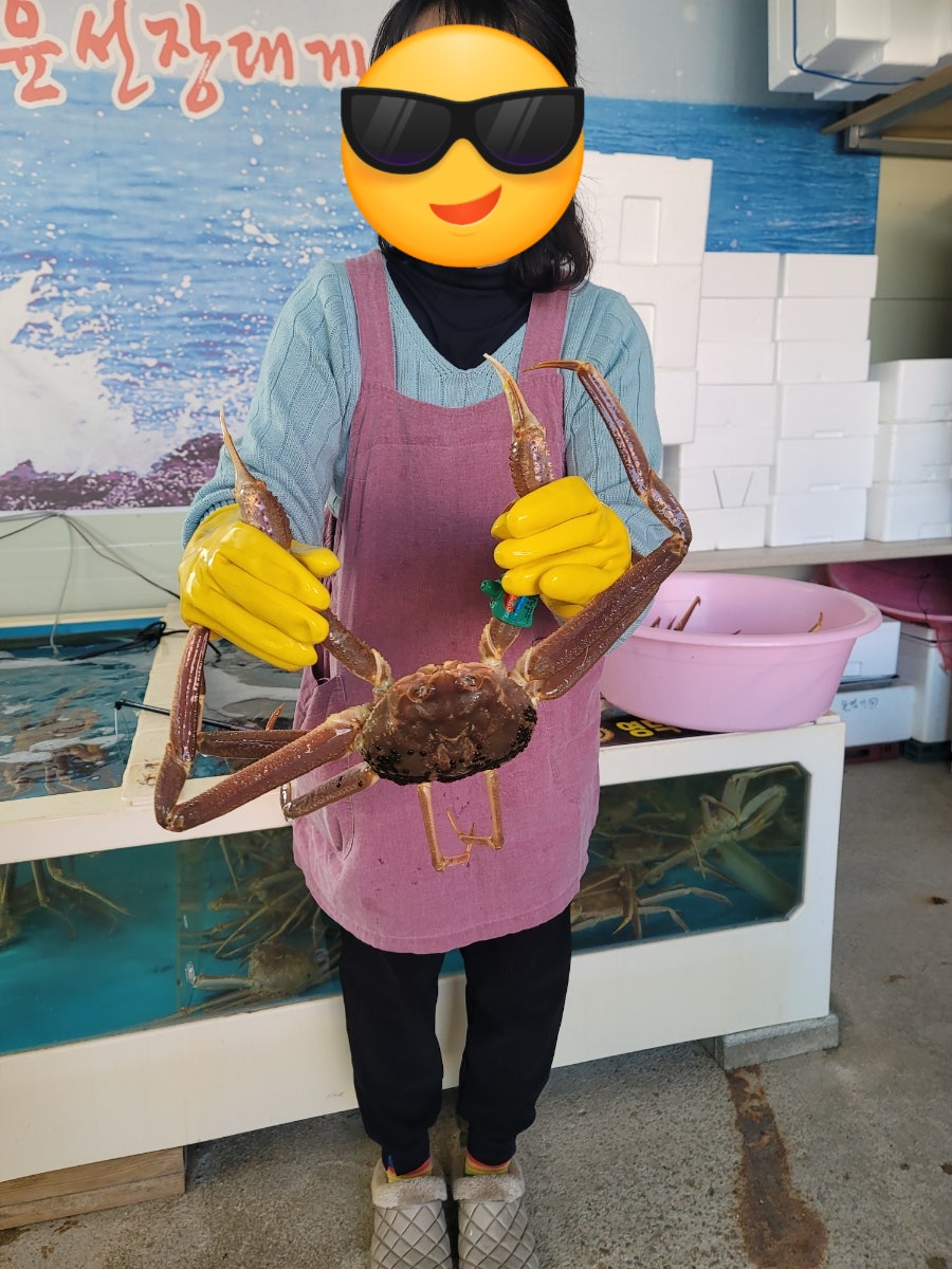 윤선장대게 사진 3