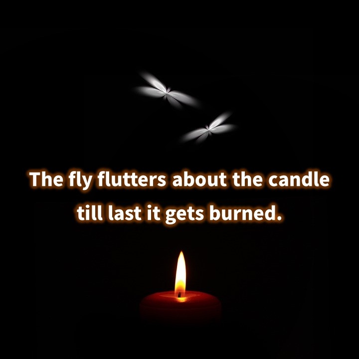 양초(candle), 촛불과 관련된 경계, 조심, 희생에 대한 영어 속담 및 명언 모음
