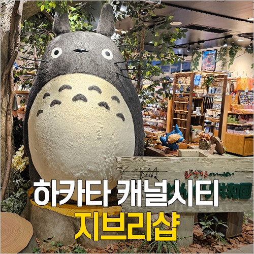  후쿠오카 캐널시티 하카타 쇼핑 - 지브리샵 동구리공화국 굿즈