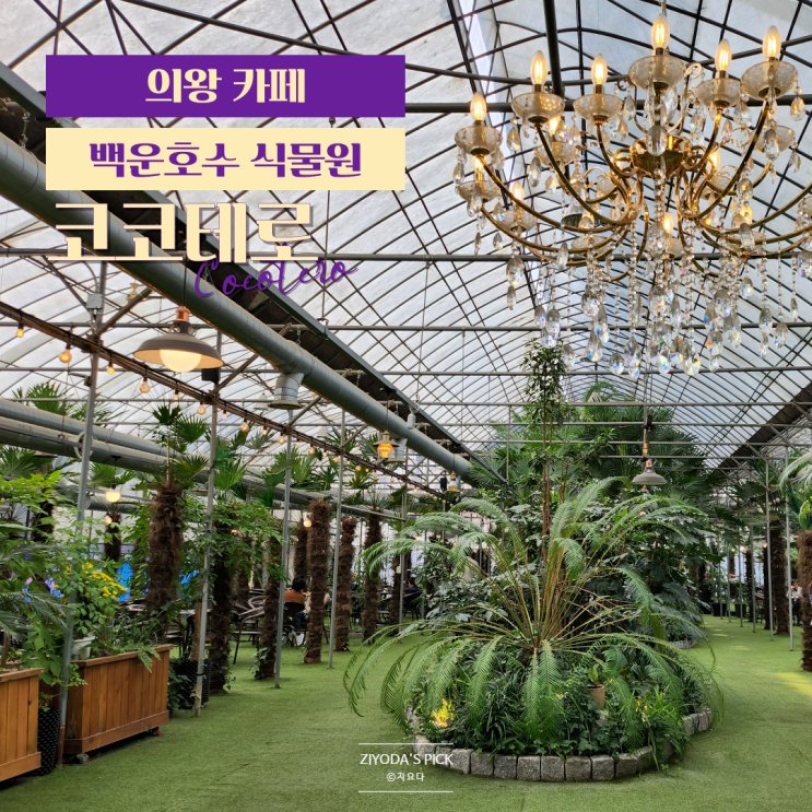  의왕 백운호수 식물원 베이커리 카페 코코테로 추천